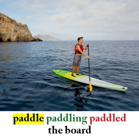 Paddle